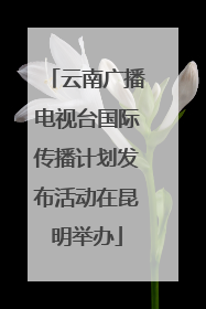 云南广播电视台国际传播计划发布活动在昆明举办