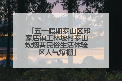 五一假期泰山区邱家店镇王林坡村泰山炊烟巷民俗生活体验区人气爆棚