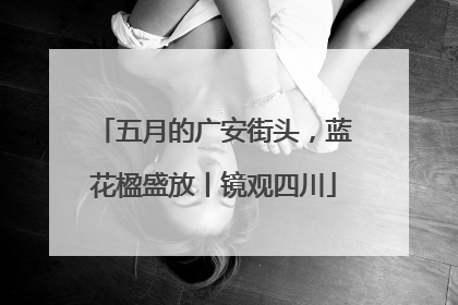 五月的广安街头，蓝花楹盛放丨镜观四川