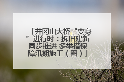 井冈山大桥“变身”进行时：拆旧建新同步推进 多举措保障汛期施工（图）