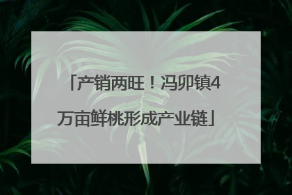 产销两旺！冯卯镇4万亩鲜桃形成产业链
