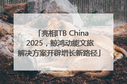 亮相ITB China 2025，鲸鸿动能文旅解决方案开辟增长新路径