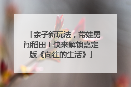 亲子新玩法，带娃勇闯稻田！快来解锁嘉定版《向往的生活》