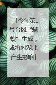 今年第1号台风“蝴蝶”生成，或将对湖北产生影响