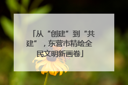 从“创建”到“共建”，东营市精绘全民文明新画卷