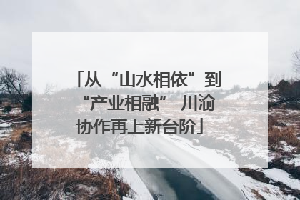 从“山水相依”到“产业相融” 川渝协作再上新台阶