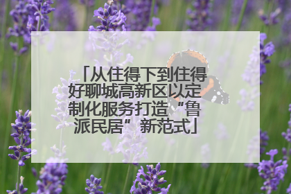 从住得下到住得好聊城高新区以定制化服务打造“鲁派民居”新范式