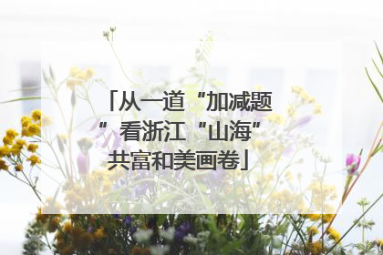 从一道“加减题”看浙江“山海”共富和美画卷
