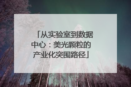 从实验室到数据中心：美光颗粒的产业化突围路径