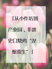 从小作坊到产业园，非遗史口烧鸡“涅槃重生”