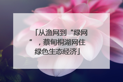 从渔网到“绿网”，蔡甸桐湖网住绿色生态经济