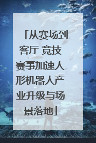 从赛场到客厅 竞技赛事加速人形机器人产业升级与场景落地