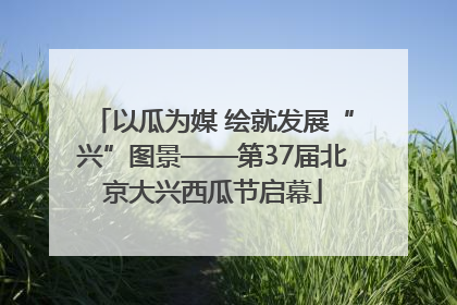 以瓜为媒 绘就发展“兴”图景——第37届北京大兴西瓜节启幕