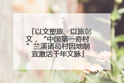 以文塑旅、以旅彰文，“中国第一奇村”兰溪诸葛村因地制宜激活千年文脉