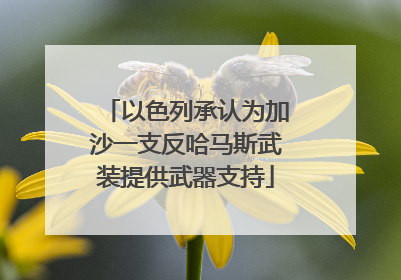 以色列承认为加沙一支反哈马斯武装提供武器支持