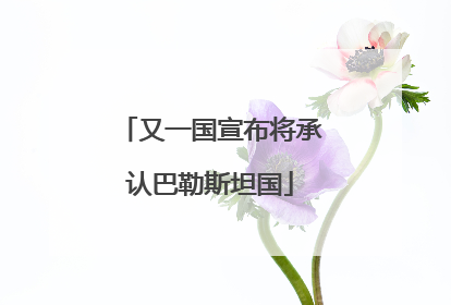 又一国宣布将承认巴勒斯坦国