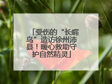 受伤的“长嘴鸟”造访徐州沛县！暖心救助守护自然精灵