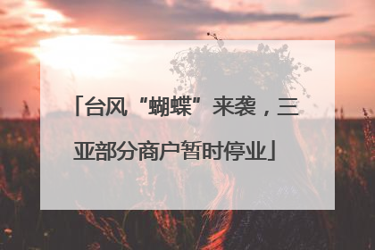 台风“蝴蝶”来袭，三亚部分商户暂时停业
