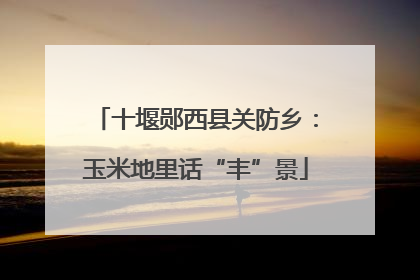 十堰郧西县关防乡：玉米地里话“丰”景