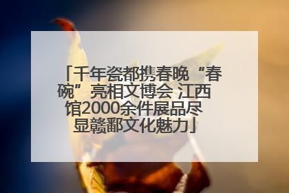 千年瓷都携春晚“春碗”亮相文博会 江西馆2000余件展品尽显赣鄱文化魅力