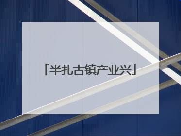 半扎古镇产业兴