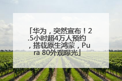 华为，突然宣布！2.5小时超4万人预约，搭载原生鸿蒙，Pura 80外观曝光