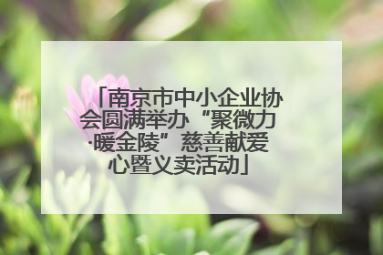 南京市中小企业协会圆满举办“聚微力·暖金陵”慈善献爱心暨义卖活动