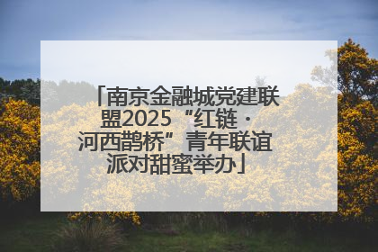 南京金融城党建联盟2025“红链・河西鹊桥”青年联谊派对甜蜜举办