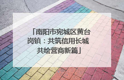 南阳市宛城区黄台岗镇：共筑信用长城 共绘营商新篇