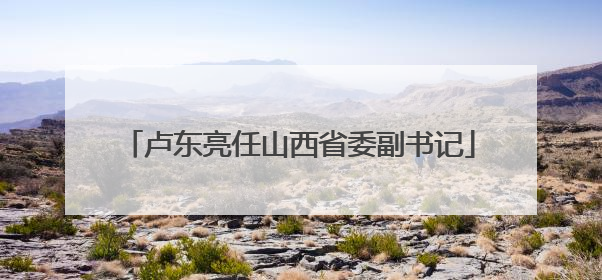 卢东亮任山西省委副书记