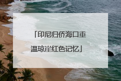 印尼归侨海口重温琼崖红色记忆