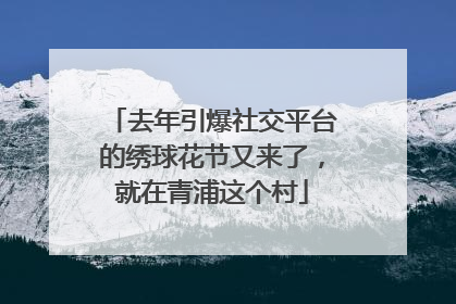 去年引爆社交平台的绣球花节又来了，就在青浦这个村