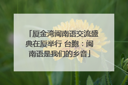 厦金湾闽南语交流盛典在厦举行 台胞：闽南语是我们的乡音
