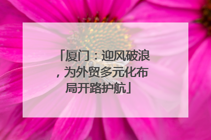 厦门：迎风破浪，为外贸多元化布局开路护航