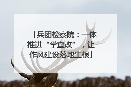 兵团检察院：一体推进“学查改”，让作风建设落地生根