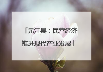 元江县：民营经济推进现代产业发展