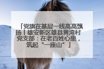党旗在基层一线高高飘扬丨雄安新区雄县黄湾村党支部：在老百姓心里，筑起“一座山”