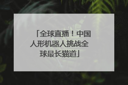 全球直播！中国人形机器人挑战全球最长猫道