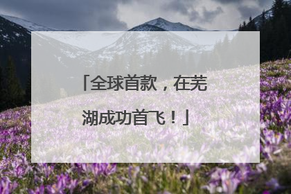 全球首款，在芜湖成功首飞！