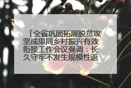 全省巩固拓展脱贫攻坚成果同乡村振兴有效衔接工作会议强调：长久守牢不发生规模性返贫致贫底线 王宁出席并讲话 王予波主持