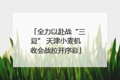 全力以赴战“三夏” 天津小麦机收会战拉开序幕