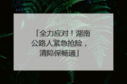 全力应对！湖南公路人紧急抢险，清障保畅通