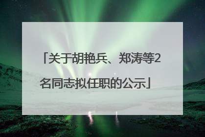关于胡艳兵、郑涛等2名同志拟任职的公示