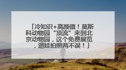 冷知识+高颜值！莫斯科动物园“顶流”来到北京动物园，这个免费展览，遛娃拍照两不误！