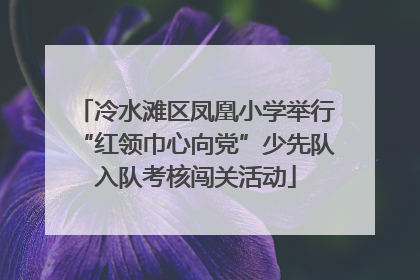 冷水滩区凤凰小学举行“红领巾心向党”少先队入队考核闯关活动