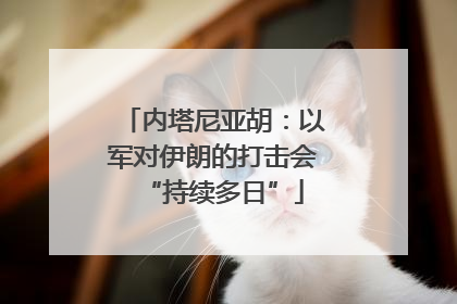 内塔尼亚胡：以军对伊朗的打击会“持续多日”