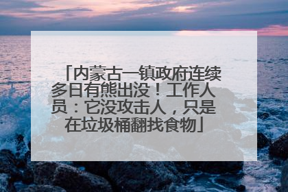 内蒙古一镇政府连续多日有熊出没！工作人员：它没攻击人，只是在垃圾桶翻找食物