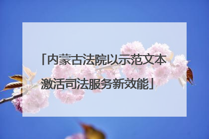 内蒙古法院以示范文本激活司法服务新效能