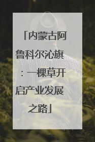 内蒙古阿鲁科尔沁旗：一棵草开启产业发展之路