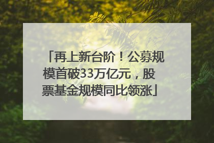 再上新台阶！公募规模首破33万亿元，股票基金规模同比领涨